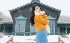 绿巨人忘忧草丝瓜秋葵黄